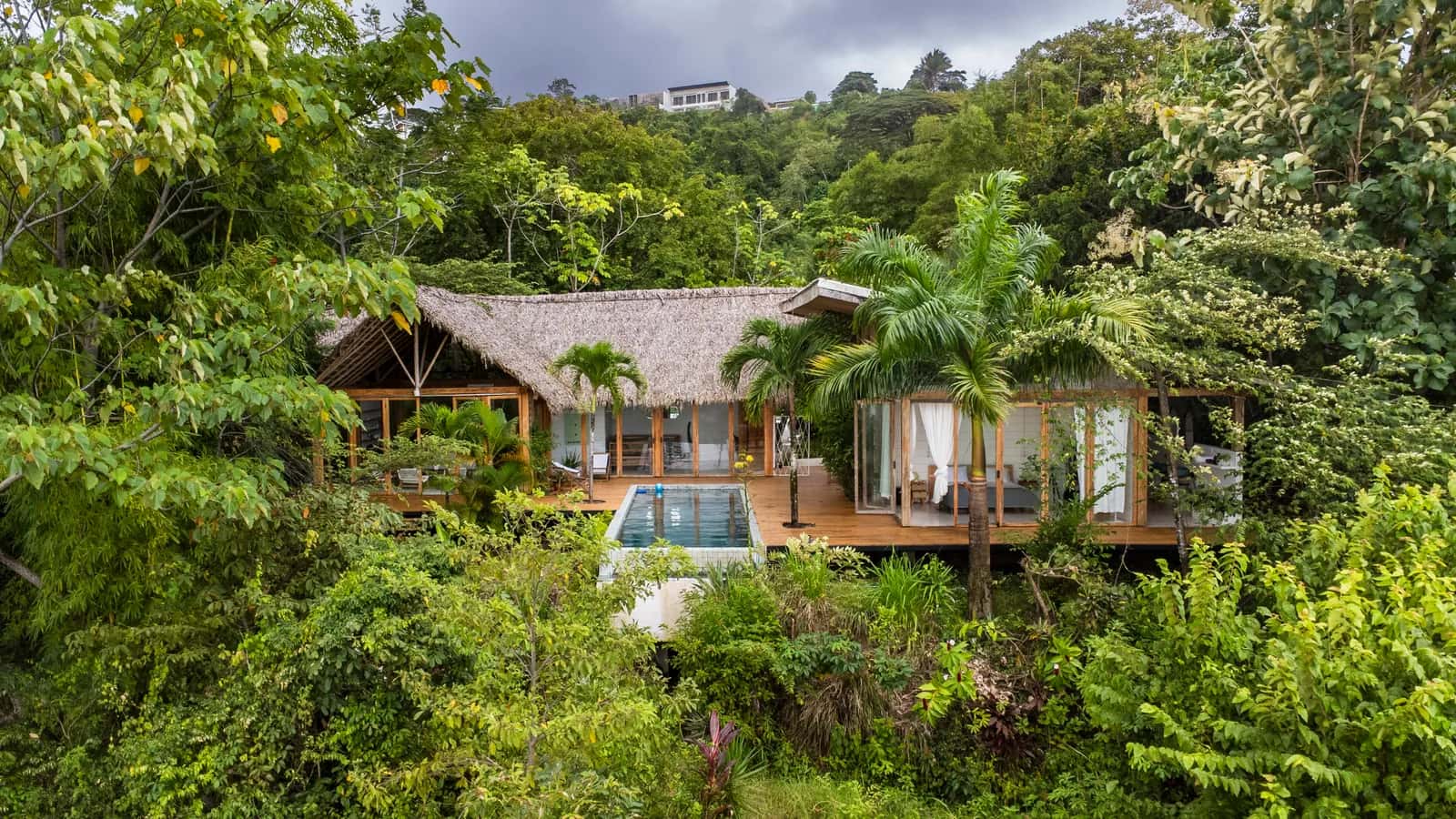 Villa Mapache and its private pool surrounded by tropical forest